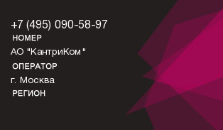 4950905897